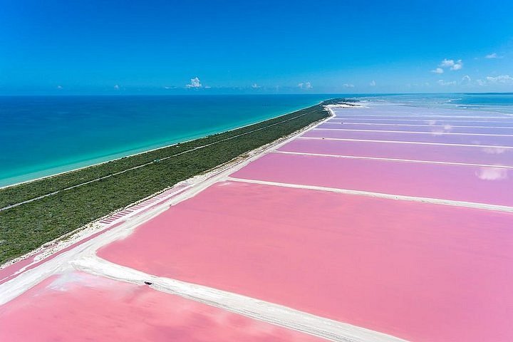 Las Coloradas + Río Lagartos + Playa