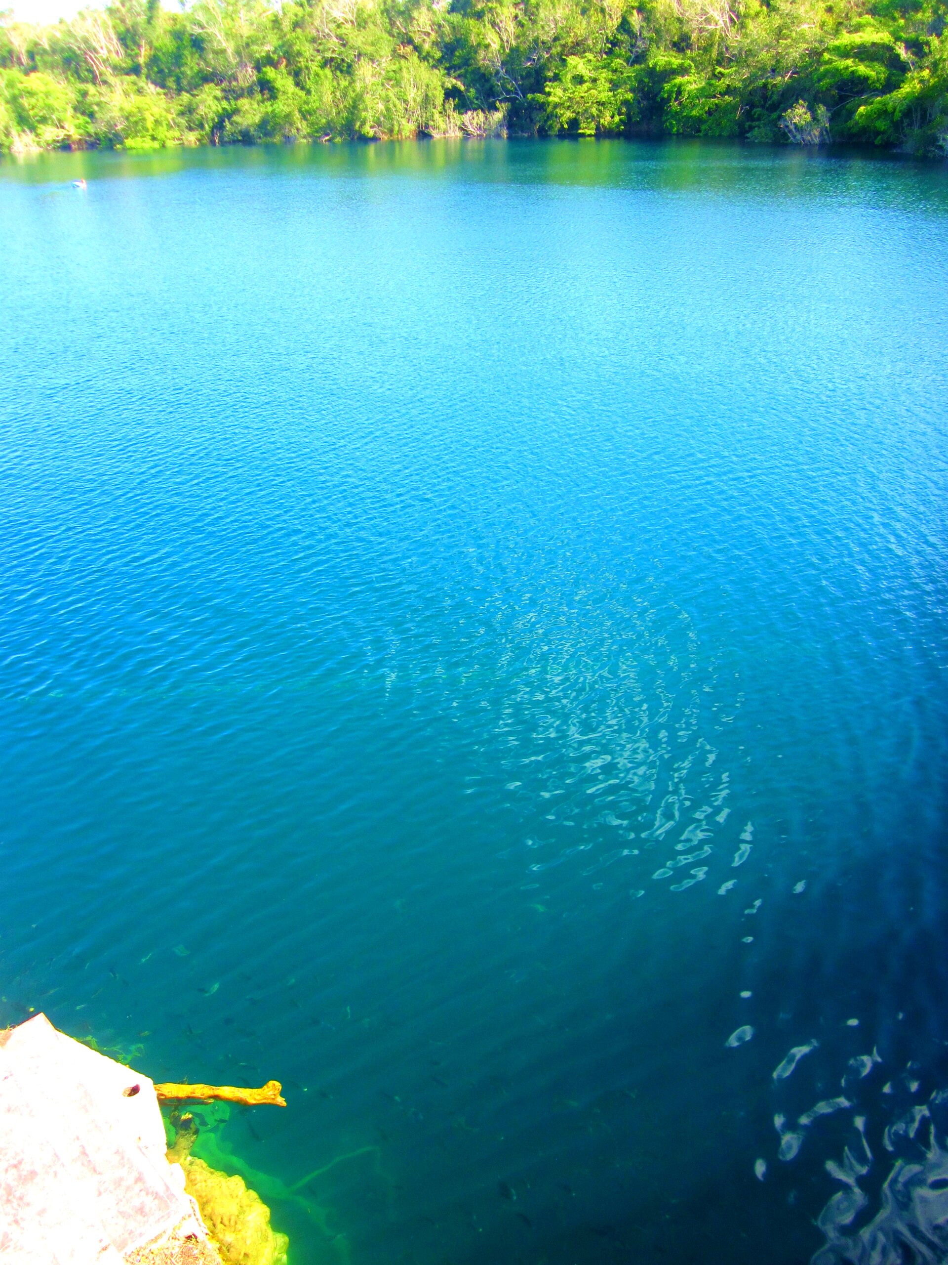 Bacalar + Cenote Azul 3