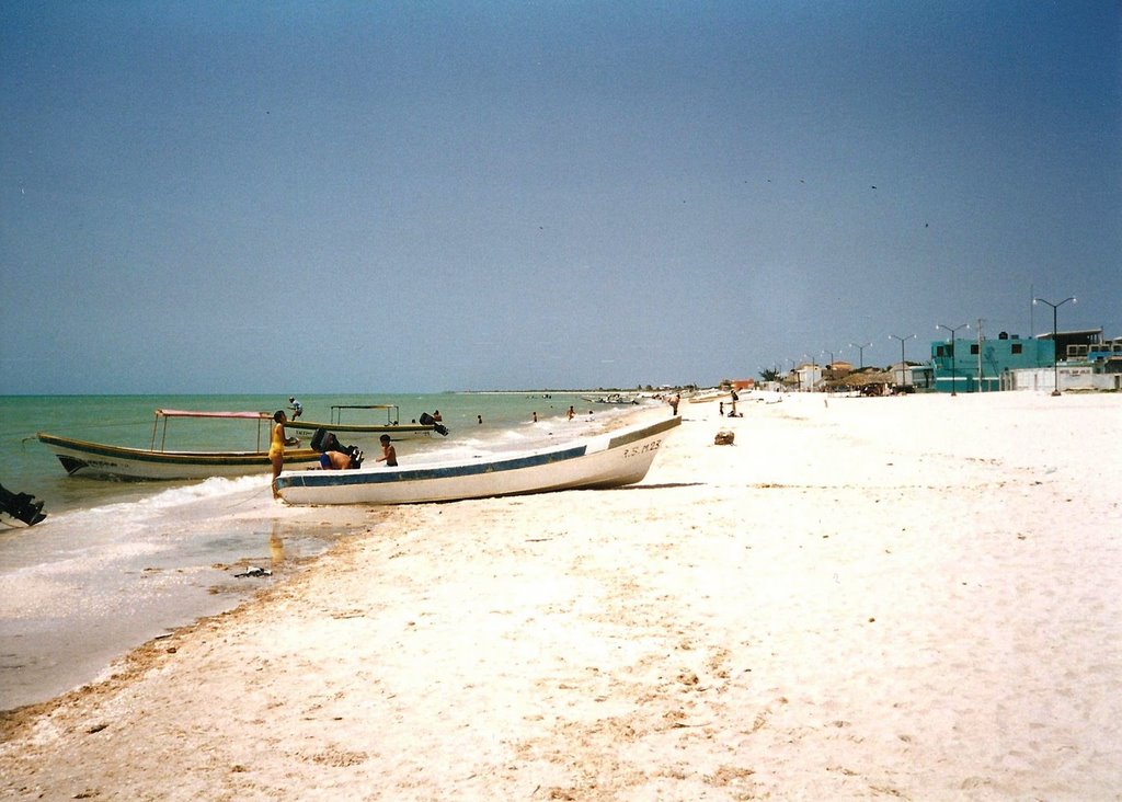 Celestún Manglares + Playa 4