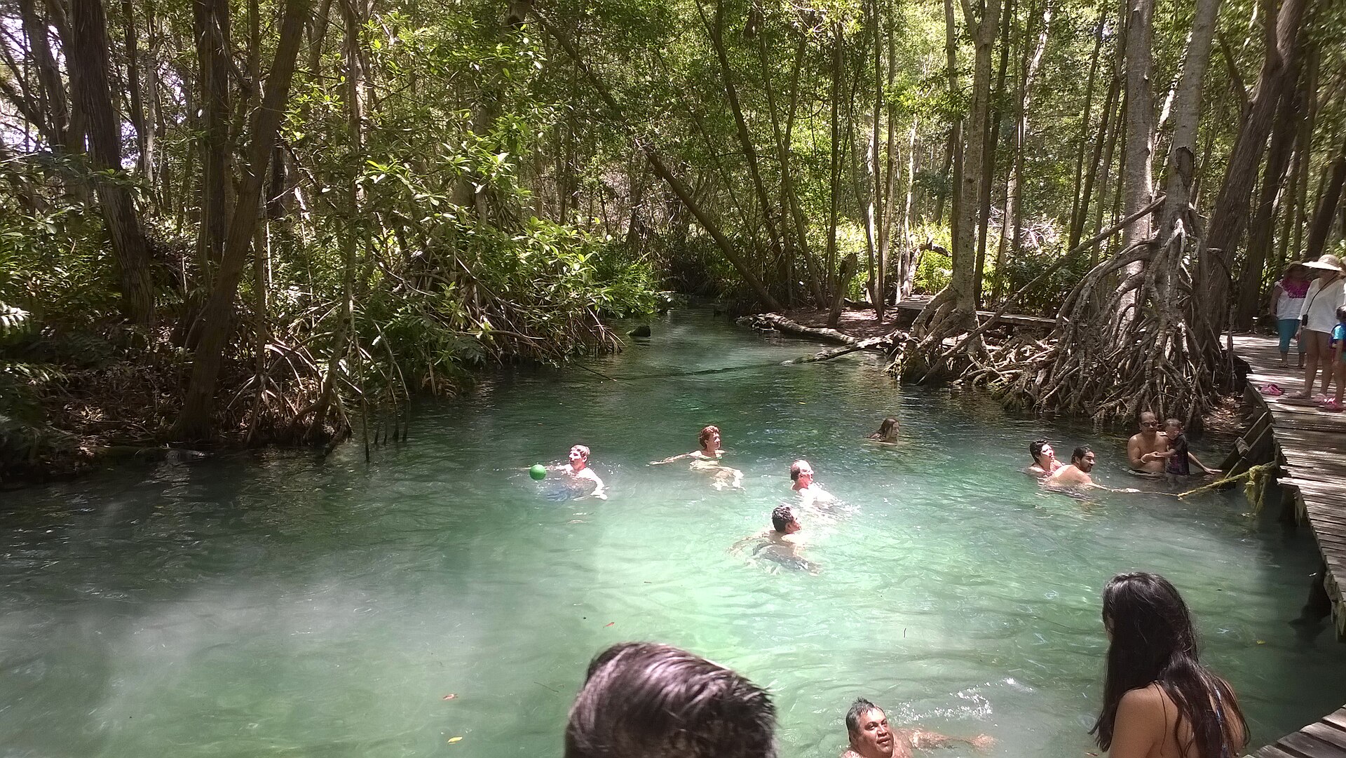 Celestún Manglares + Playa 3