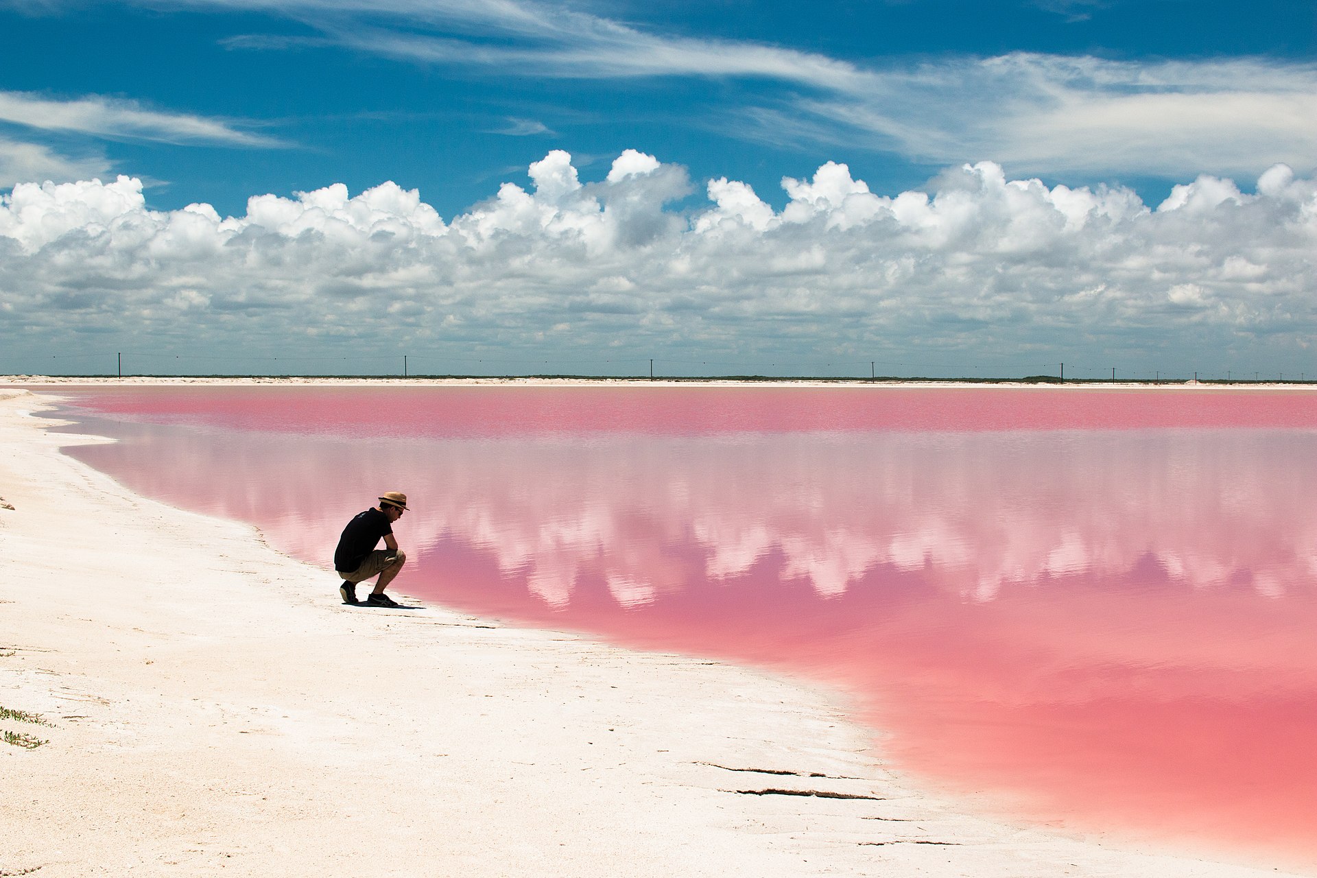 Las Coloradas + Río Lagartos + Playa 2