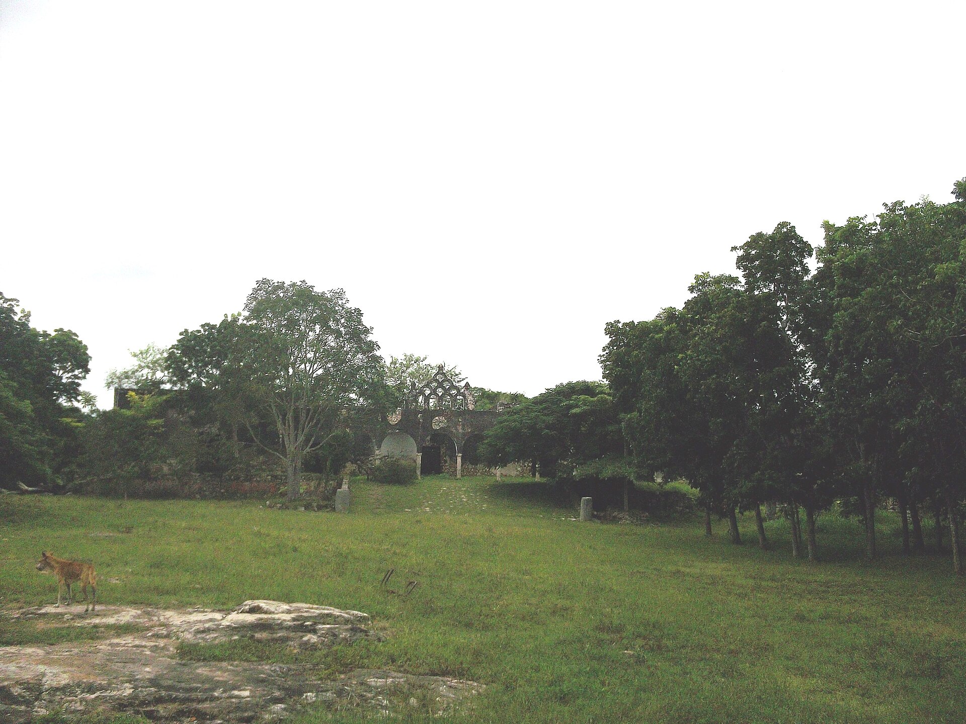 Hacienda Mucuyché + 2 Cenotes + Oxkintok 3